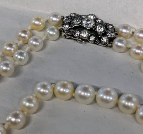 1950s Sea Pearls Choker Necklace Miscellaneous 5
