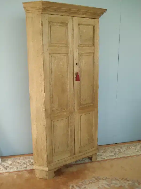Freestanding 19th Century Bare Oak two door corner cupboard/ Hall cupboard