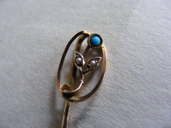 EXQUISITE Gold pearl & Turquoise Tie Hat Brooch PIN Chester c1900 Original Box chatalaine Antique Jewellery 9