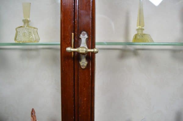 Heggie & Aitchison Of Edinburgh Victorian Display Cabinet SAI2963 - Image 13