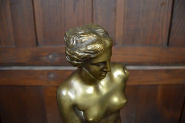 Venus Di Milo Bronze Statue SAI2968 Antique Sculptures 8