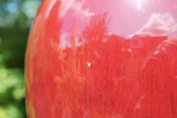 Qing dynasty Chinese Sang de boeuf vase. No 2 of 2 available - Image 10