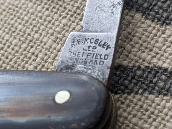 Sheffield pocket knife lovely cow horn scales - Image 5