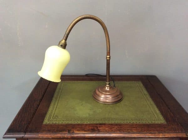 Early 20th Century Gooseneck Desk Lamp Desk Lamp Antique Lighting 3