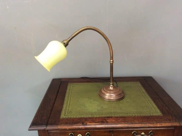 Early 20th Century Gooseneck Desk Lamp Desk Lamp Antique Lighting 8