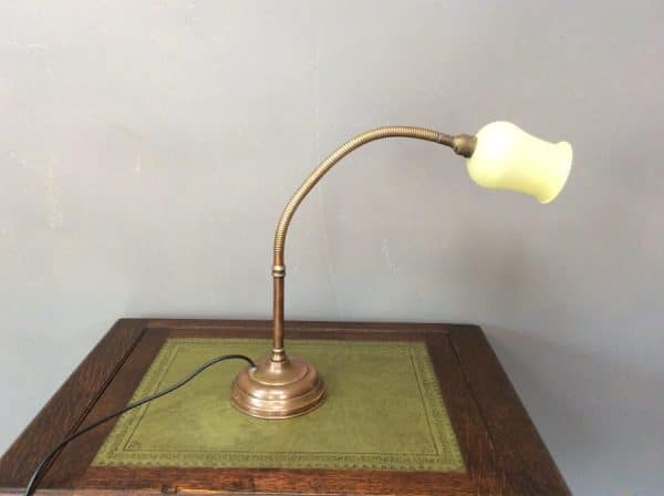 Early 20th Century Gooseneck Desk Lamp Desk Lamp Antique Lighting 6