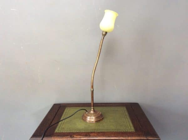 Early 20th Century Gooseneck Desk Lamp Desk Lamp Antique Lighting 7