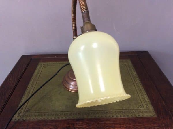 Early 20th Century Gooseneck Desk Lamp Desk Lamp Antique Lighting 10