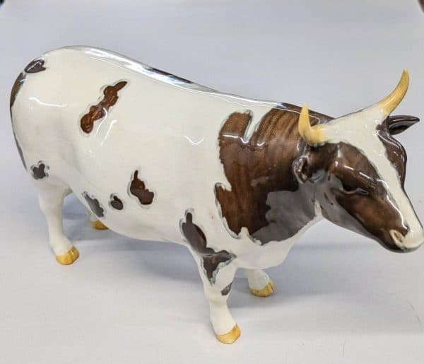 Beswick Whitehill Mandate Ayrshire Bull