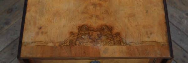 Edwardian Walnut Pot Cupboard/ Bedside Cabinet SAI3012 - Image 15