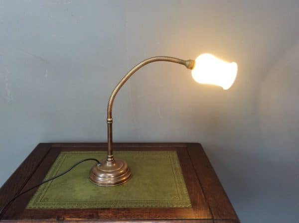 Early 20th Century Gooseneck Desk Lamp Desk Lamp Antique Lighting 4
