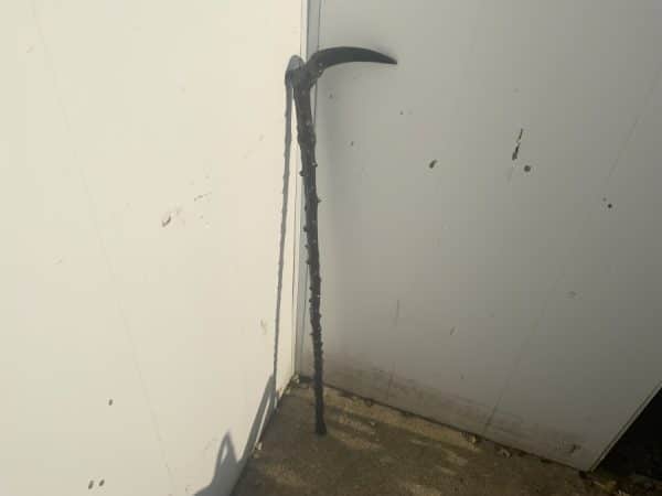 Irish Blackthorn walking stick sword stick