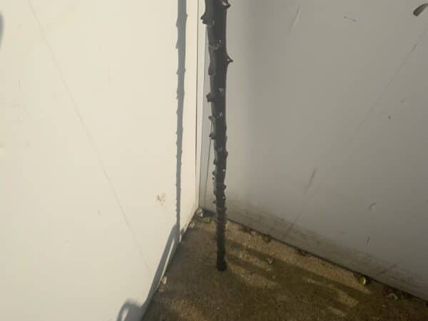 Irish Blackthorn walking stick sword stick - Image 3