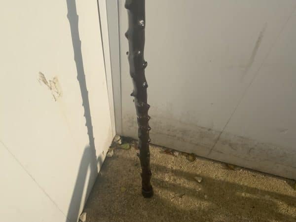 Irish Blackthorn walking stick sword stick - Image 8