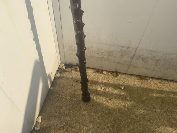 Irish Blackthorn walking stick sword stick - Image 7