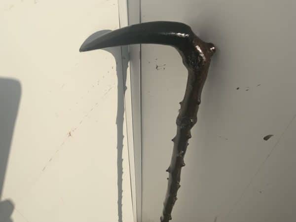 Irish Blackthorn walking stick sword stick - Image 5