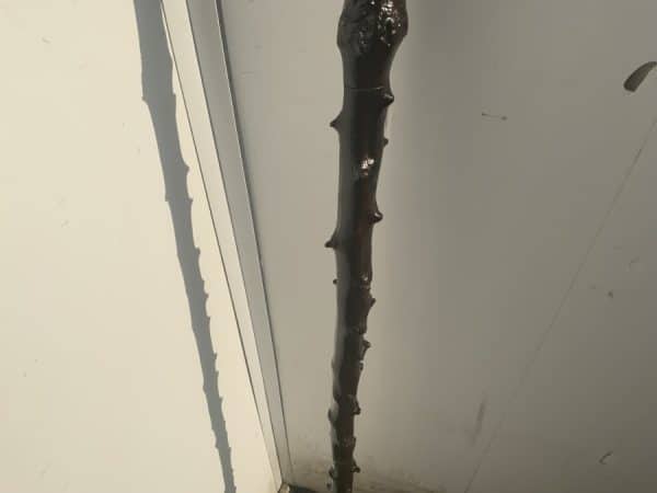 Irish Blackthorn walking stick sword stick - Image 4