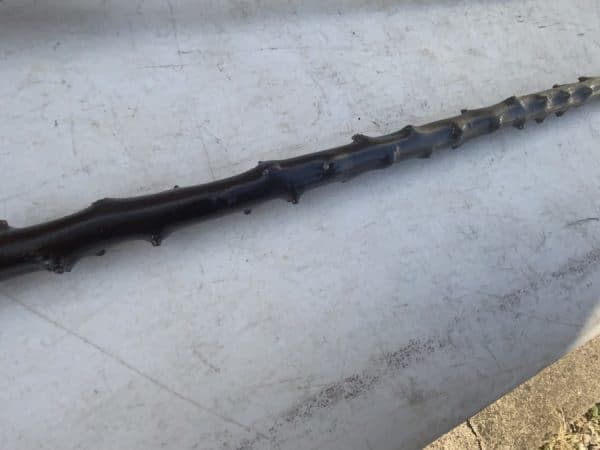 Irish Blackthorn walking stick sword stick - Image 20