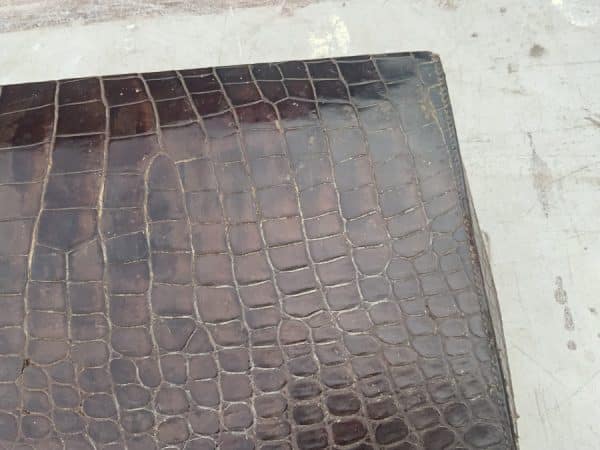 Crocodile suit case Mans/Woman’s - Image 2