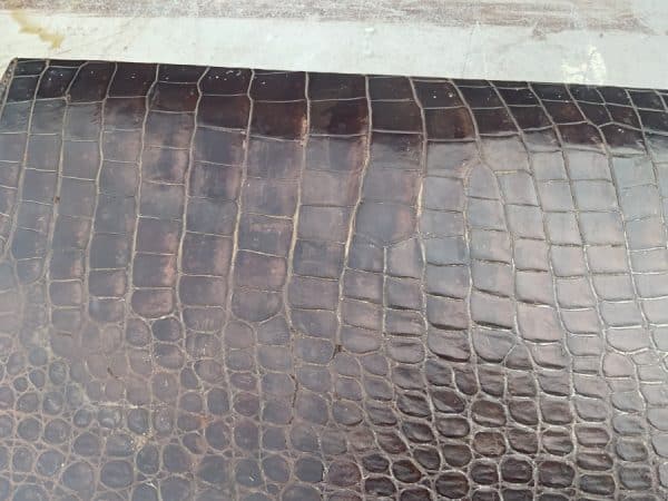 Crocodile suit case Mans/Woman’s - Image 3