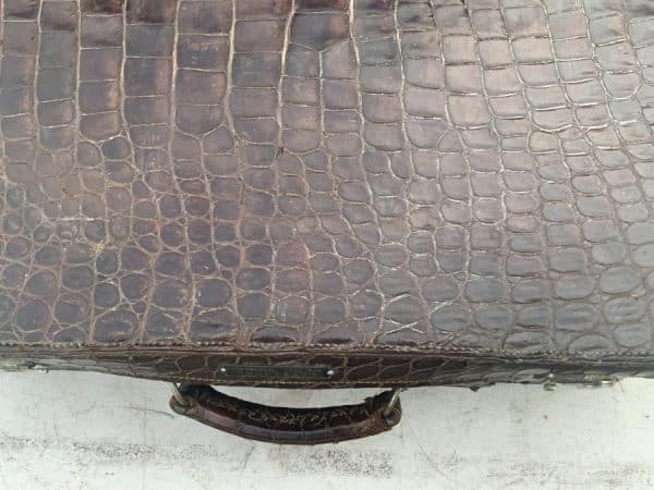 Crocodile suit case Mans/Woman’s - Image 6