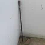 Horned gentlemanâs walking stick sword stick Miscellaneous
