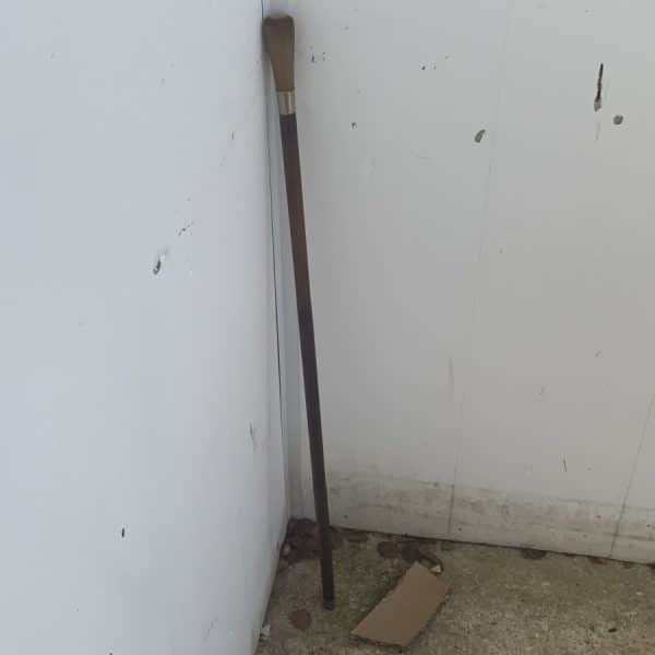 Horned gentleman’s walking stick sword stick