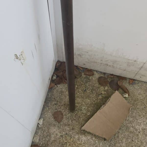 Horned gentleman’s walking stick sword stick - Image 4