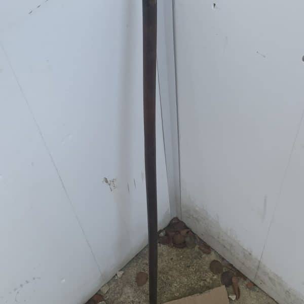 Horned gentleman’s walking stick sword stick Miscellaneous 8