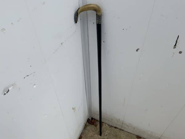 Gentleman’s walking stick sword stick