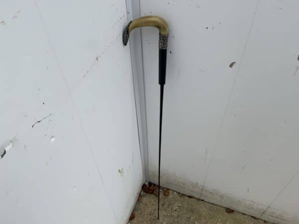 Gentleman’s walking stick sword stick Miscellaneous 19