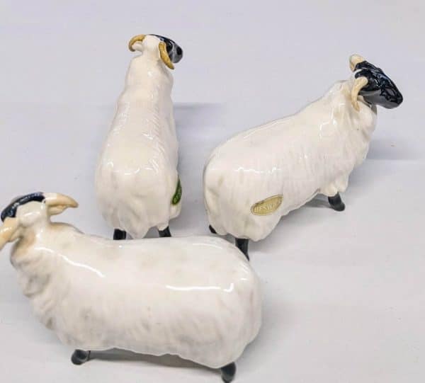 Beswick Black Faced Rams - Image 4