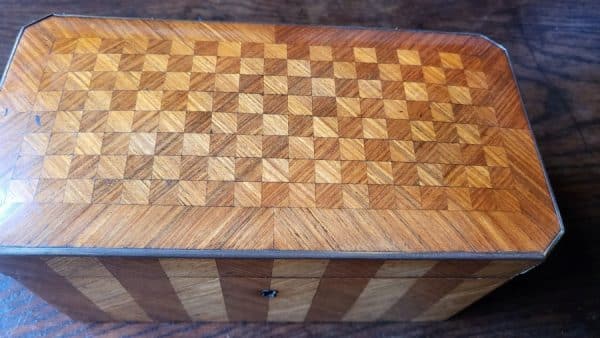 Satin Wood Tea Caddy SAI3057 - Image 17