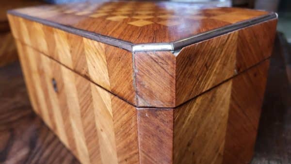Satin Wood Tea Caddy SAI3057 - Image 16