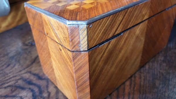 Satin Wood Tea Caddy SAI3057 - Image 14