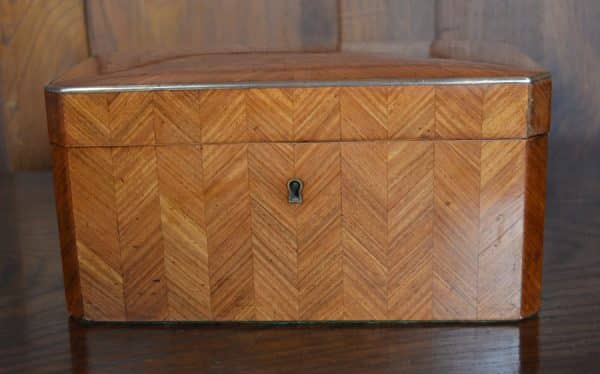 Satin Wood Tea Caddy SAI3057 Antique Boxes 11