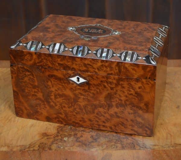 Victorian Tea Caddy sai3005 Antique Boxes 3