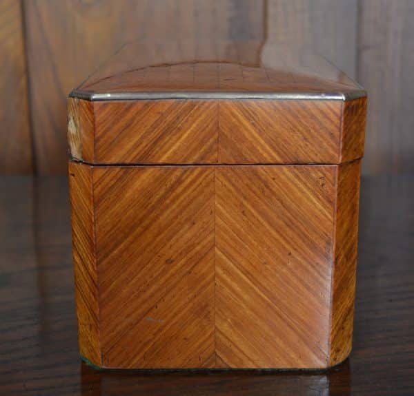 Satin Wood Tea Caddy SAI3057 Antique Boxes 10