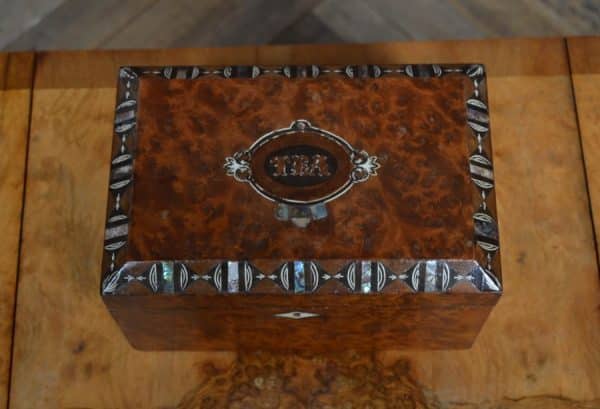 Victorian Tea Caddy sai3005 Antique Boxes 9