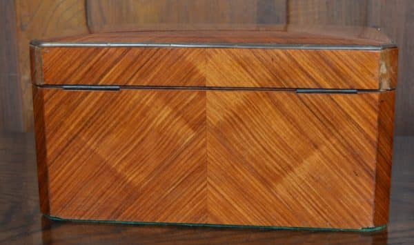 Satin Wood Tea Caddy SAI3057 - Image 7