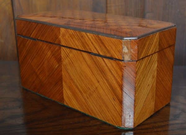 Satin Wood Tea Caddy SAI3057 Antique Boxes 8