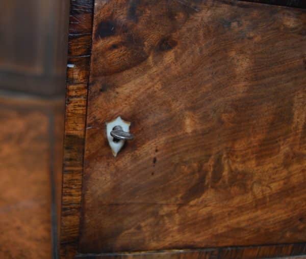 Georgian Mahogany Box SAI3018 - Image 8