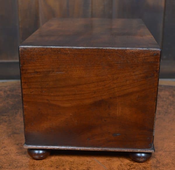 Georgian Mahogany Box SAI3018 Antique Boxes 8