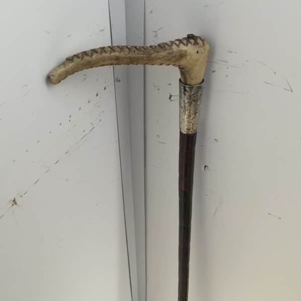 Gentleman’s Partridge wood walking stick sword stick Miscellaneous 4