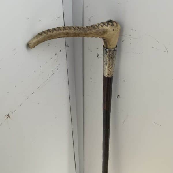 Gentleman’s Partridge wood walking stick sword stick - Image 2