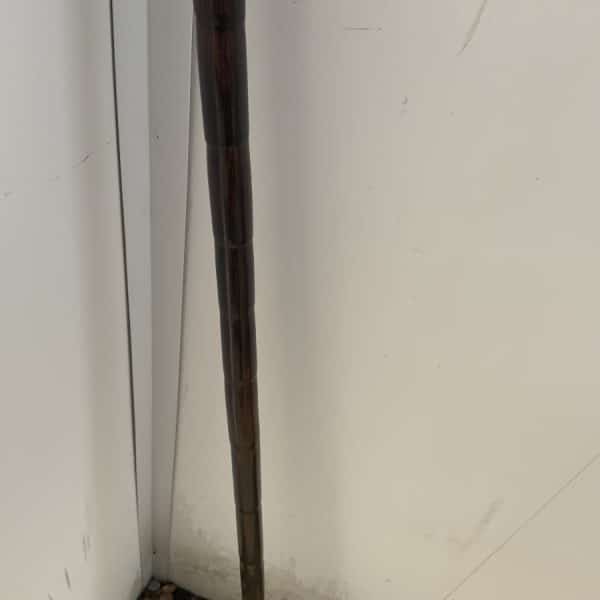 Gentleman’s Partridge wood walking stick sword stick - Image 11