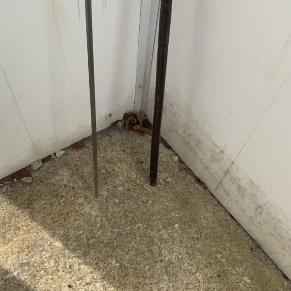 Gentleman’s Partridge wood walking stick sword stick - Image 18