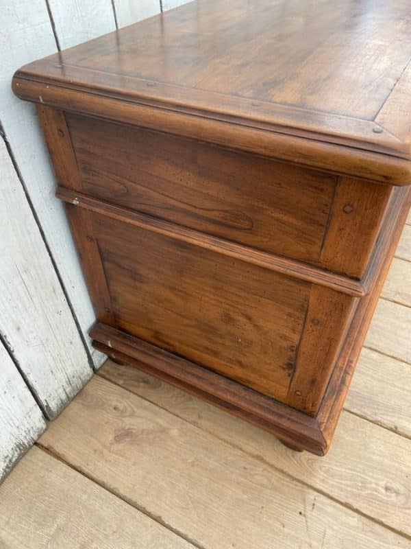 French Mule Chest Antique Chests 5