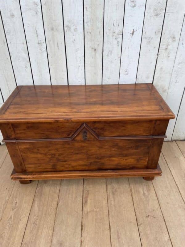 French Mule Chest Antique Chests 3