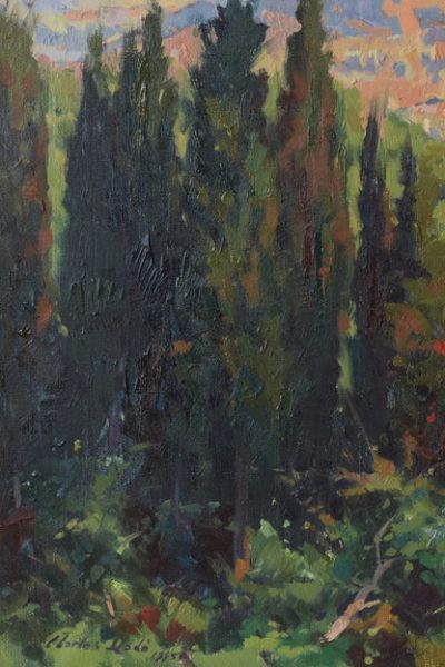 Carles Lladó - 'La Iglesia de Soller' Mallorca - Image 5